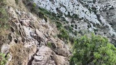 Çeşitli çalılarla benekli engebeli kayalık bir arazi sarp ve dramatik bir doğa manzarası sergiliyor.