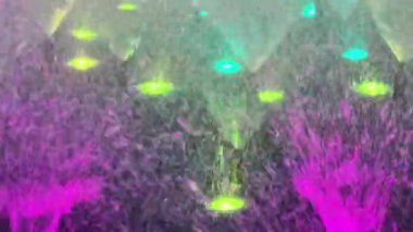 Experience a stunning show of synchronized water dancing and vibrant lights illuminating the night sky