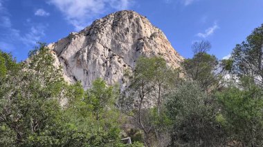 A breathtaking and stunning view of a towering mountain surrounded by vibrant trees under a clear blue sky
