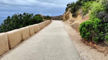 A beautifully tranquil coastal pathway that features soft rolling hills and rich, lush greenery beneath a cloudy sky
