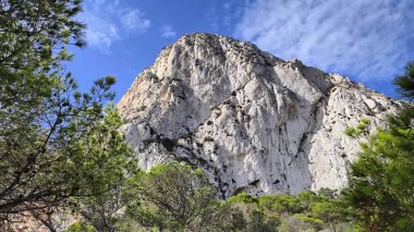 A breathtaking view of an incredibly majestic mountain, beautifully surrounded by vibrant trees and clear blue skies
