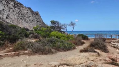 A coastal pathway meanders towards a serene ocean view, surrounded by lush greenery and rugged cliffs