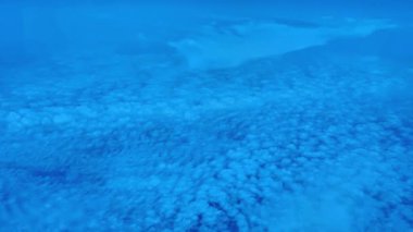 Büyüleyici sualtı manzarasıyla büyüleyici ve büyüleyici okyanus manzarasının huzur veren güzelliğini derinlemesine araştırın.