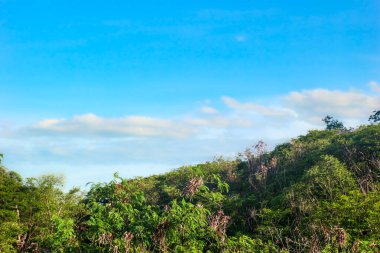 Manzaralı tropikal dağ zirvesi yoğun yağmur ormanlarıyla kaplı canlı mavi gökyüzü ve yumuşak bulutlar altında, eko turizmi, doğal doğayı ve manzara güzelliğini temsil ediyor..