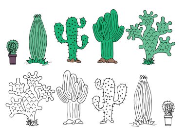 Şirin elle çizilmiş cactuse tencere. illüstrasyon.