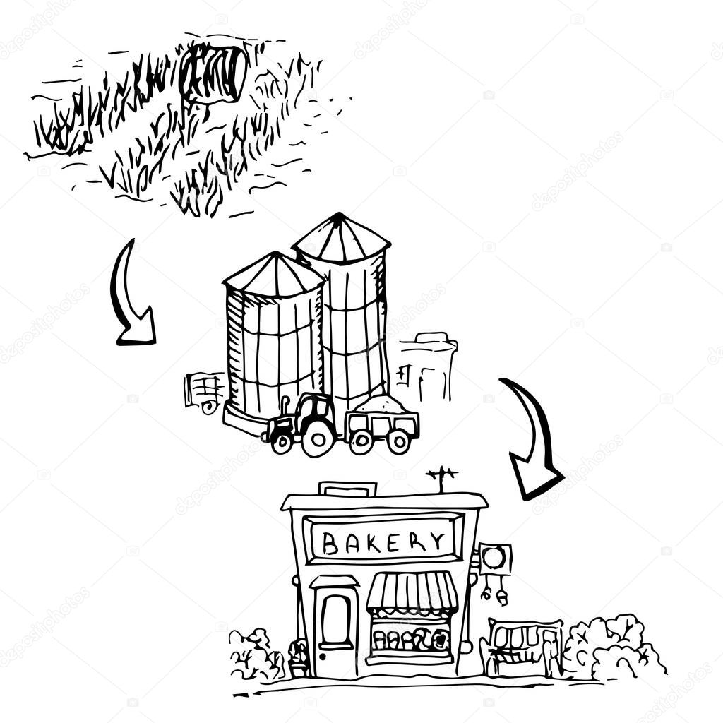 Production chain for the production of bread, from the field to the bakery, freehand drawing. Vector illustration