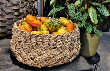 Dekorlu küçük turuncu balkabaklarıyla ev dekorasyonu doğal sepeti, sonbahar ev dekorasyonu.