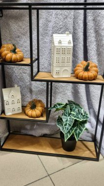 Beyaz mumlu ahşap raf ve gri arka planda seramik turuncu balkabakları. Tematik sonbahar dekoru.