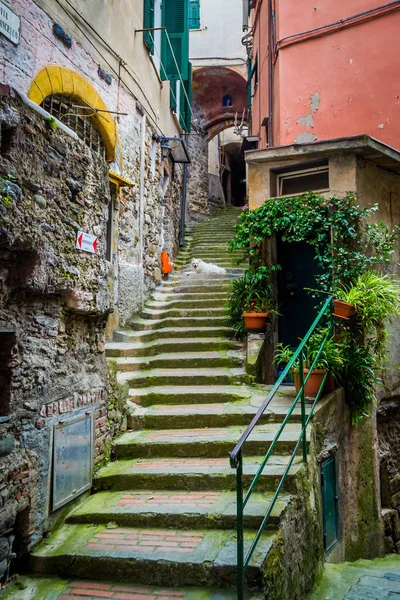 Bir yaz günü Vernazza, İtalya geleneksel sokak.