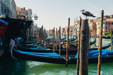 Venedik, İtalya 'da Büyük Kanal' da gondollar.