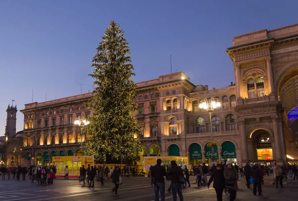 Milan, İtalya - 06 Aralık 2013: Noel ağacı Milan kubbe piyasada, Milano, İtalya.