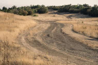Dolambaçlı toprak yol, güneşli, kuru otlakları keserek yeşil çalılıklara doğru ilerliyor..