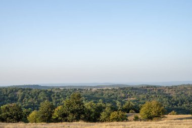 Yuvarlanan orman tepeleri ve çimenli tarlalardan oluşan sakin bir manzara berrak mavi gökyüzünün altında doğanın sessiz güzelliğini yakalıyor..