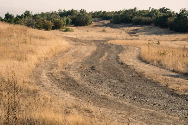 Dolambaçlı toprak yol, güneşli, kuru otlakları keserek yeşil çalılıklara doğru ilerliyor..