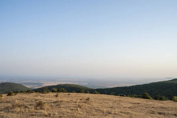 Bir grup at, yemyeşil orman tepeleri ve sisli mavi gökyüzünün altında uzak tarım arazileriyle çevrili güneşli bir tarlada huzur içinde otluyor..