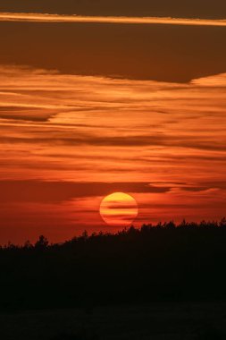 Sıcak bir günbatımı siluetli bir ağaç hattının arkasında parlıyor, gökyüzünü turuncu, kırmızı ve altın renkli renklerle boyuyor..