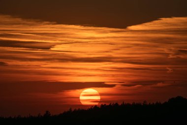 Sıcak bir günbatımı siluetli bir ağaç hattının arkasında parlıyor, gökyüzünü turuncu, kırmızı ve altın renkli renklerle boyuyor..