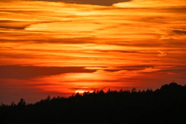  Orman ufkunun ardında parlak bir günbatımı parıldıyor. Turuncu, kırmızı ve altın renkli katmanlı bulutlar parlıyor..