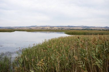 Hâlâ uzun otlar ve kuru tepelerle çevrili olan göl, Bulgaristan 'da huzurlu bir doğal ortamda yumuşak bir gökyüzünü yansıtıyor