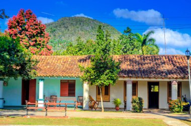 Küba ilin kırsal alanlarda tarihsel çeyrek