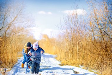 sledging ve having fun çocuklar kış ormanda günbatımı, oyun