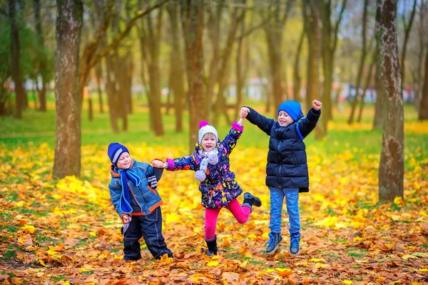 Mutlu Çocuklar Oynamak Güzel Sonbahar Parkta Eğlenmek — Stok fotoğraf