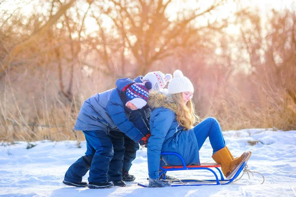 Crianças Brincam Floresta Inverno Pôr Sol Meninos Rolam Menina Trenó — Fotografia de Stock