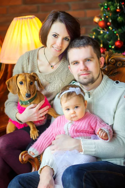 犬と幸せな家庭が座って お祝いクリスマス ツリー近く抱擁 — ストック写真
