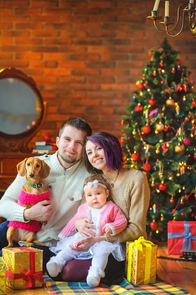 お祝いクリスマス ツリーの近くの床に座っている犬と幸せな家庭 — ストック写真