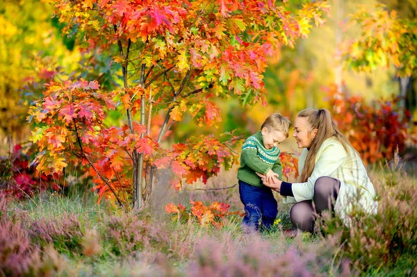 母亲和她的小儿子在美丽的秋天公园里散步 — 图库照片