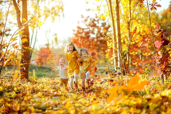 Счастливые Дети Бегают Играют Красивом Осеннем Парке — стоковое фото