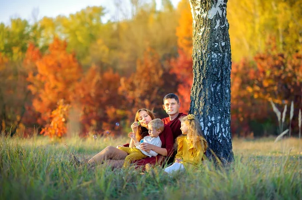 Velká Šťastná Rodina Chodí Parku Při Západu Slunce Sedí Trávě — Stock fotografie