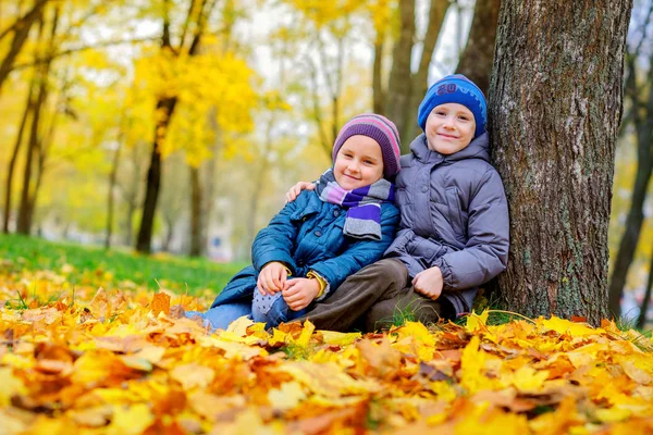 Друзья Обнимаются Смеются Сидя Возле Дерева Красивом Осеннем Парке Закате — стоковое фото