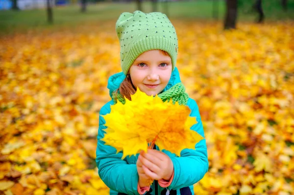 Menina Bonita Segurando Folhas Outono Mãos — Fotografia de Stock