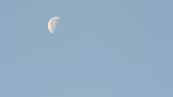 Timelapse Movimiento Luna Través Del Cielo — Vídeo de stock