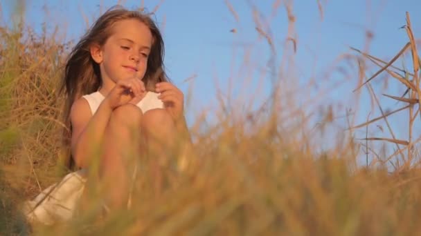 Schönes Kleines Mädchen Sitzt Auf Einem Feld Zwischen Hohem Gras — Stockvideo