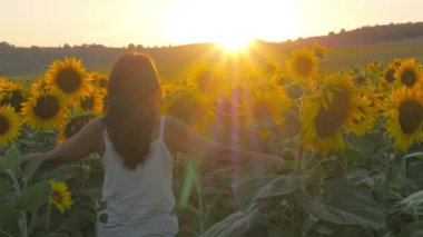 güzel bir gün batımı, özgürlük ayçiçeği bir alanda mutlu kız