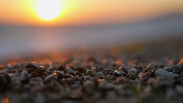 Foco Suave Rochas Praia Brilham Sol Belo Pôr Sol Sobre — Vídeo de Stock