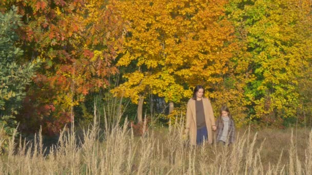 Gelukkig Moeder Speelt Met Haar Dochtertje Een Prachtig Herfst Park — Stockvideo