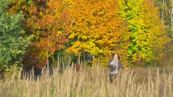 Bambina Che Corre Nel Parco Autunnale — Video Stock