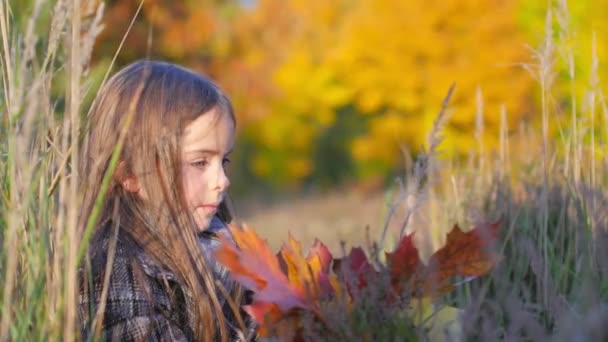 Bella Bambina Nel Parco Autunnale Seduta Sull Erba Con Mazzo — Video Stock