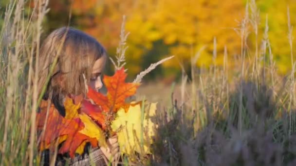 Bella Bambina Nel Parco Autunnale Siede Sull Erba Raccoglie Bouquet — Video Stock