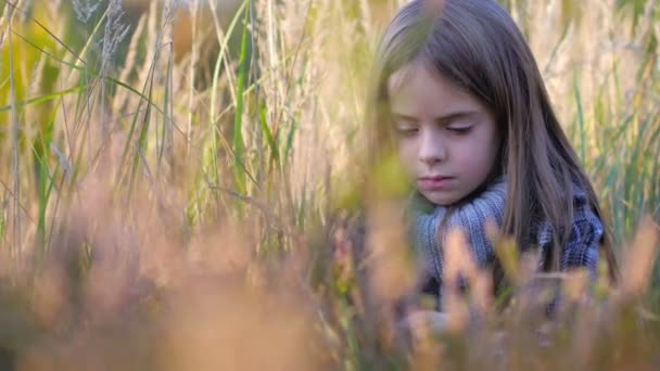Piękna Mała Dziewczynka Jesień Park Gromadzi Liści Uśmiechając Się — Wideo stockowe