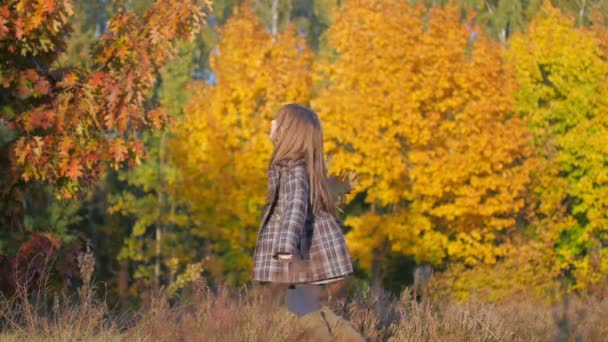 Güzel Kız Sonbahar Parkta Yürüyor — Stok video