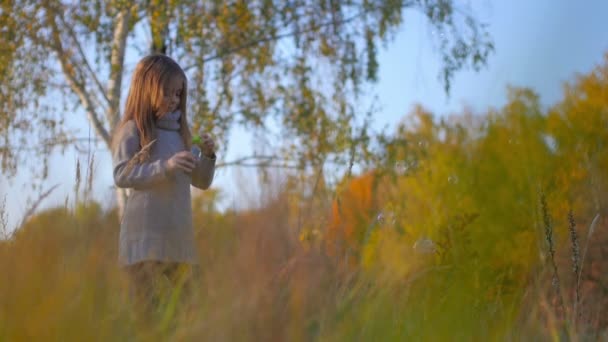 Schönes Kleines Mädchen Bläst Blasen Herbst Park — Stockvideo
