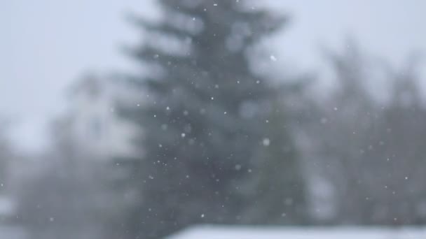 Tiempo Nevado Nieve Que Cae Lentamente Hermoso Invierno Copos Nieve — Vídeos de Stock