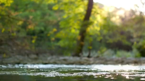 Paysage idyllique, magnifique rivière forestière au coucher du soleil 