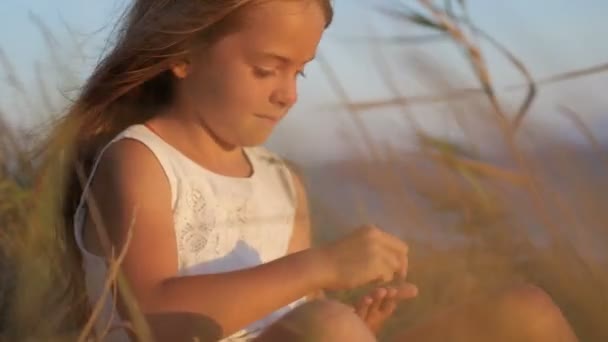 Портрет Крупным Планом Девушки Сидящей Траве Поле Улыбающейся Играющей Траве — стоковое видео