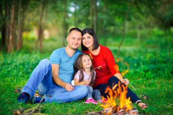 Aile Doğada Oturup Ateşin Etrafında Oturuyor Marşmelovları Kızartıyor — Stok fotoğraf