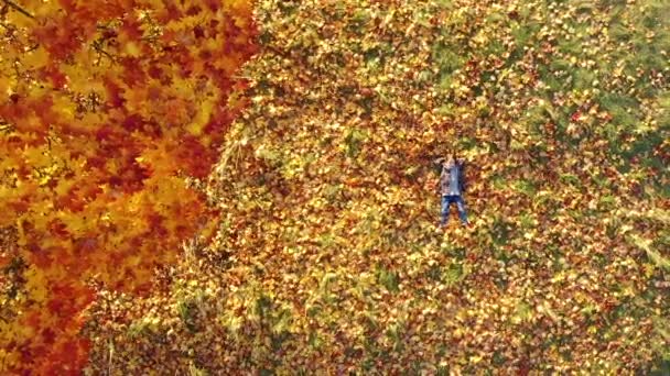 Widok Lotu Ptaka Słodka Dziewczynka Leży Parku Żółtych Opadłych Liściach — Wideo stockowe